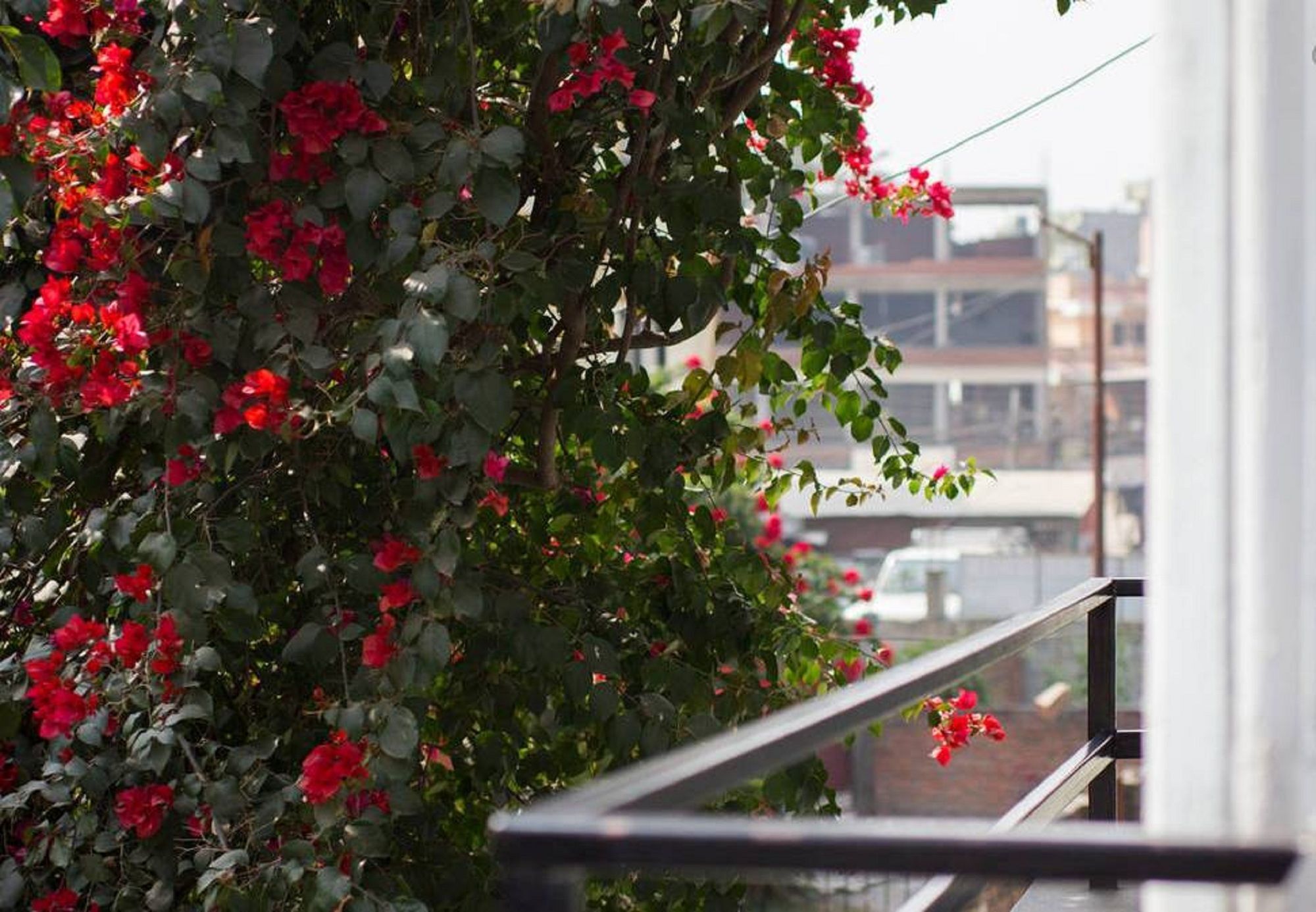 Le Rhododendron Chambres D'Hotes カトマンズ エクステリア 写真